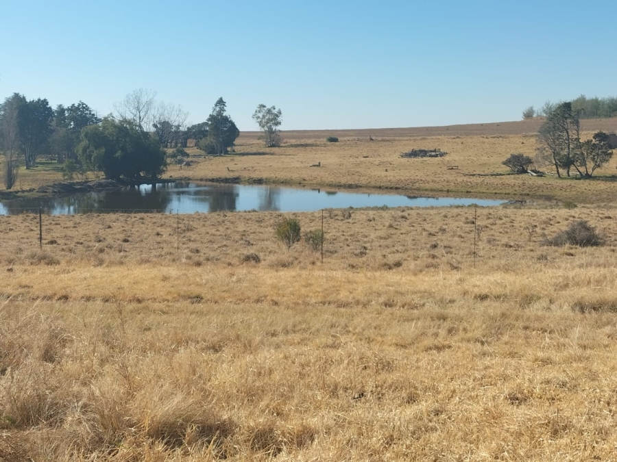 4 Bedroom Property for Sale in Bethlehem Rural Free State